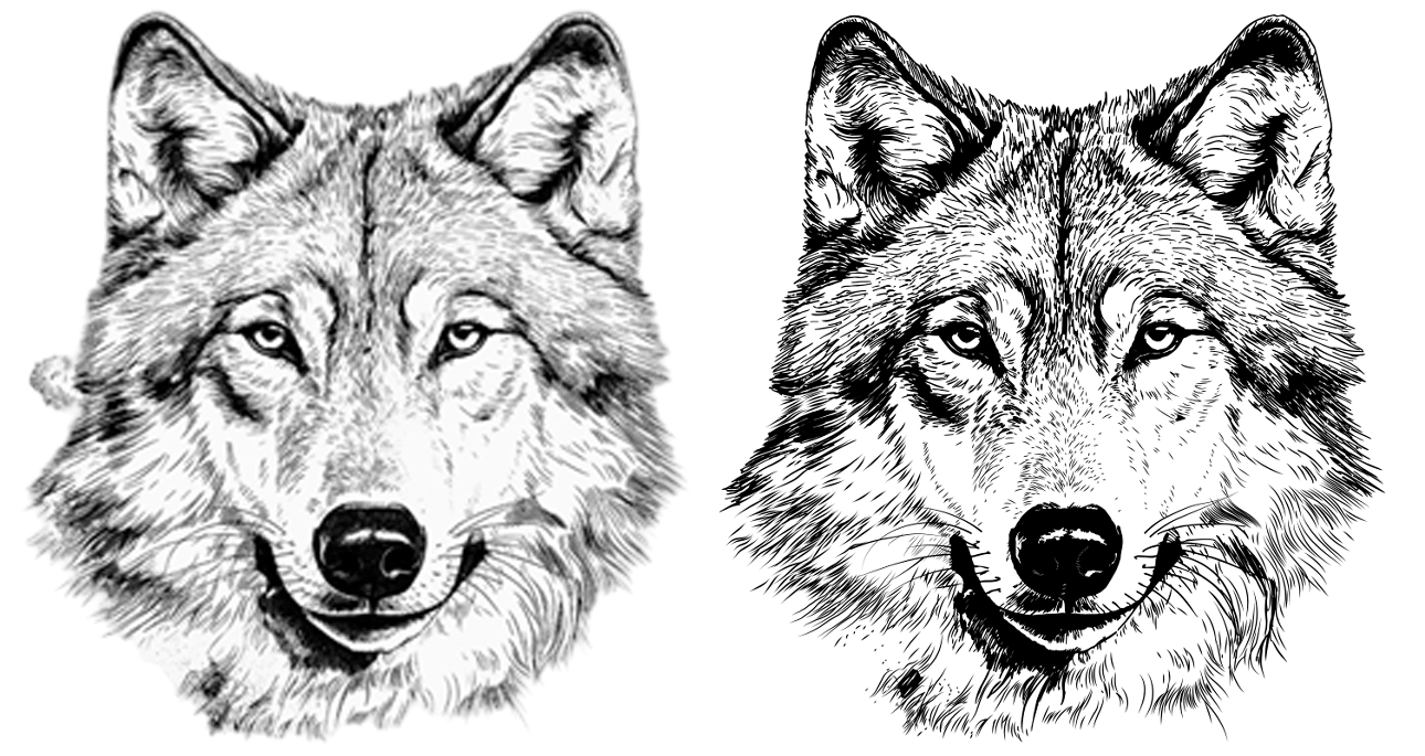 Vector design 005